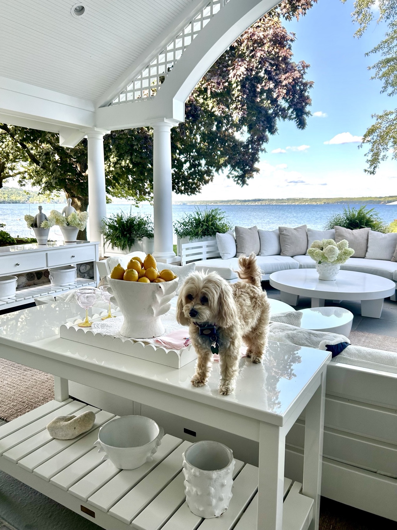 Lake porch and pet care