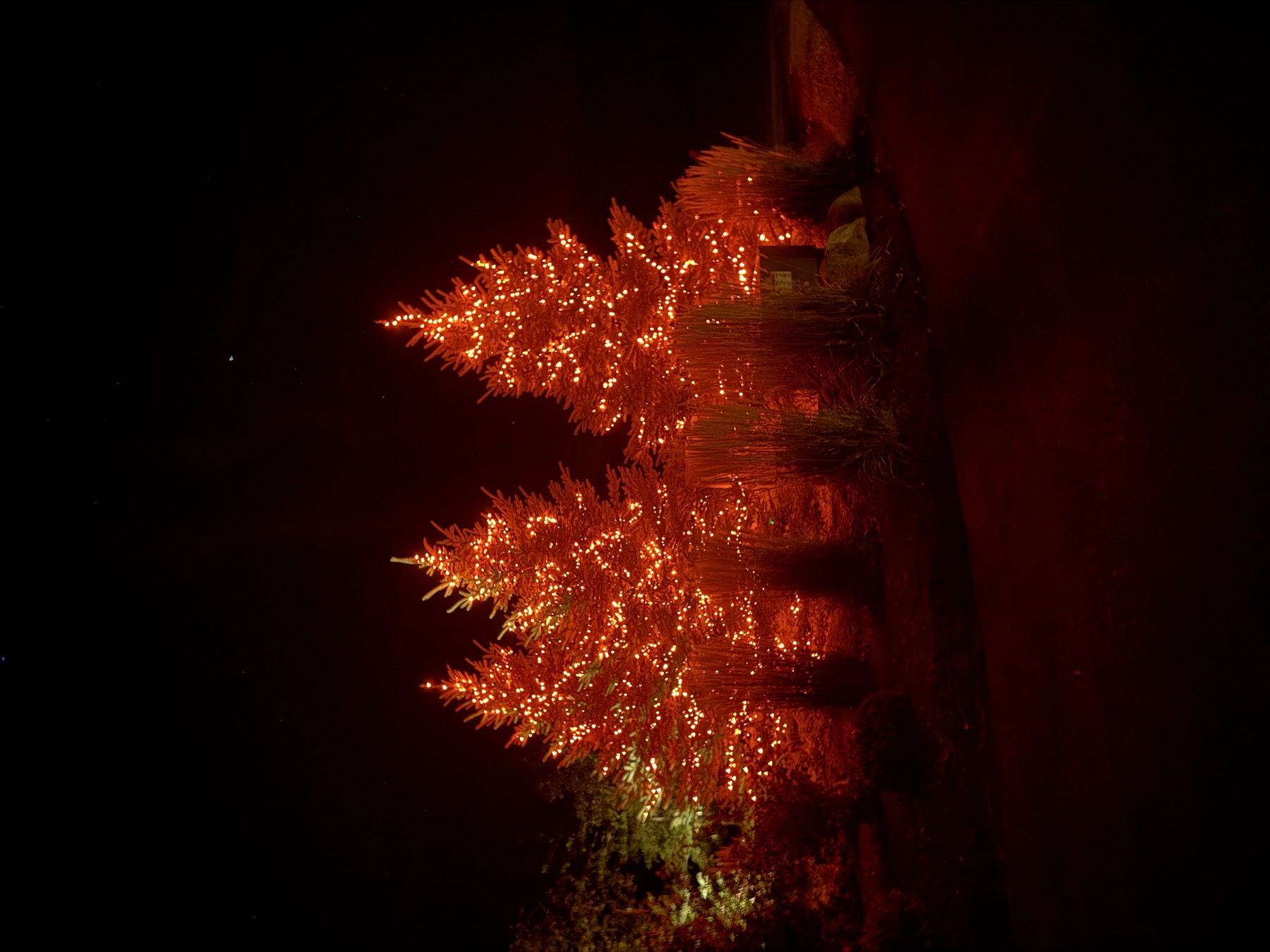 Holiday interior styling